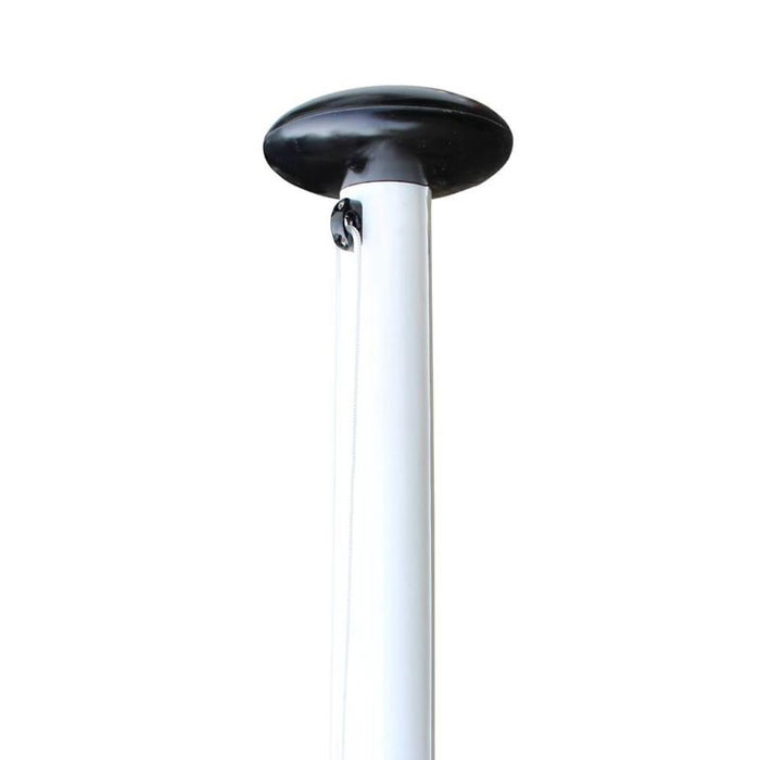 Fahnenmast-Frosch